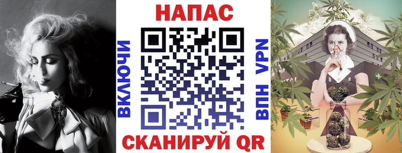 MEGA   Черногорск  Канабис сатива 